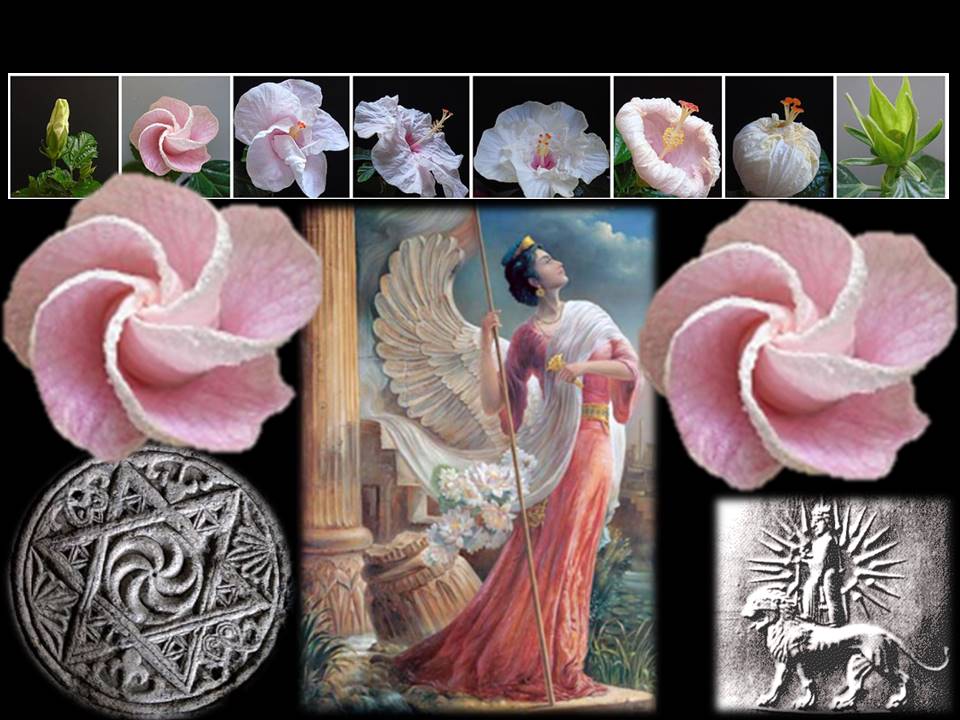 armenian eternity sign