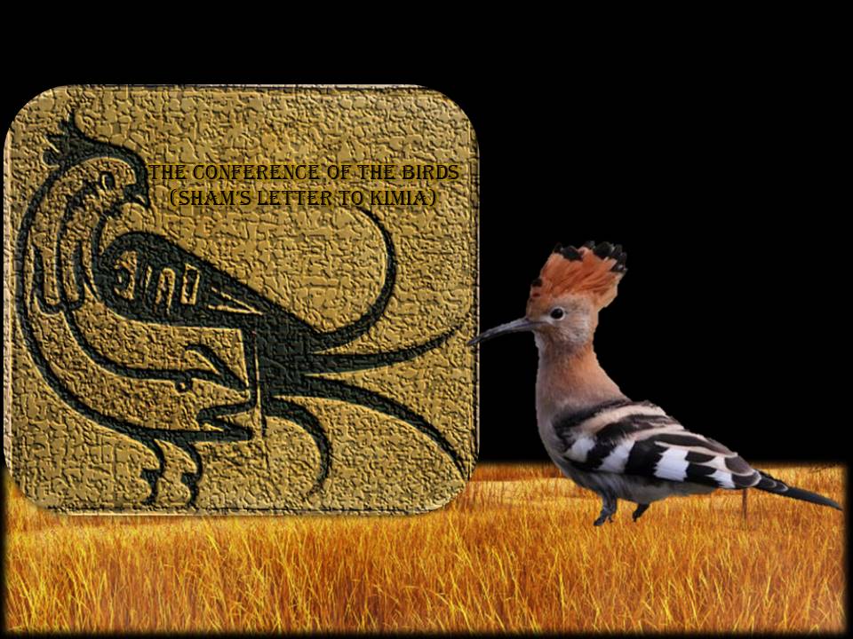 conference of the birds