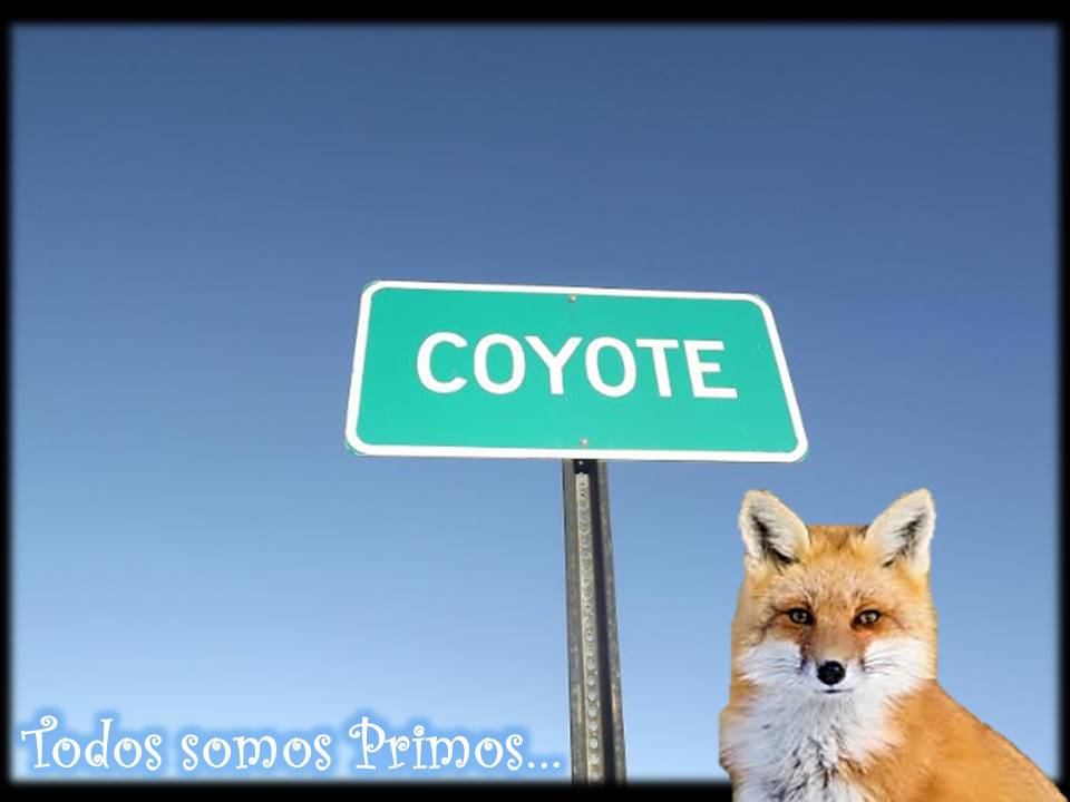 for letter to Rudy in the Heavens 1