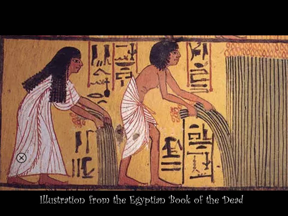 for letter to Rudy in the Heavens reed book of the dead